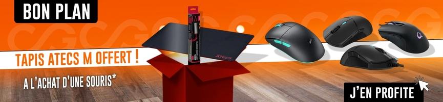 Souris gaming, cadeau offert