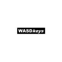 WASDkeys