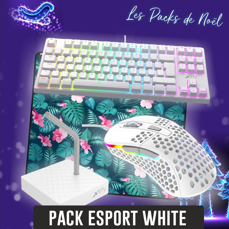 Cadeau clavier souris gamer