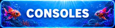 Soldes accessoires console