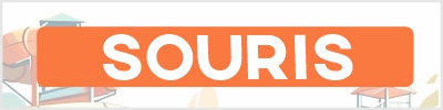 Soldes souris gaming