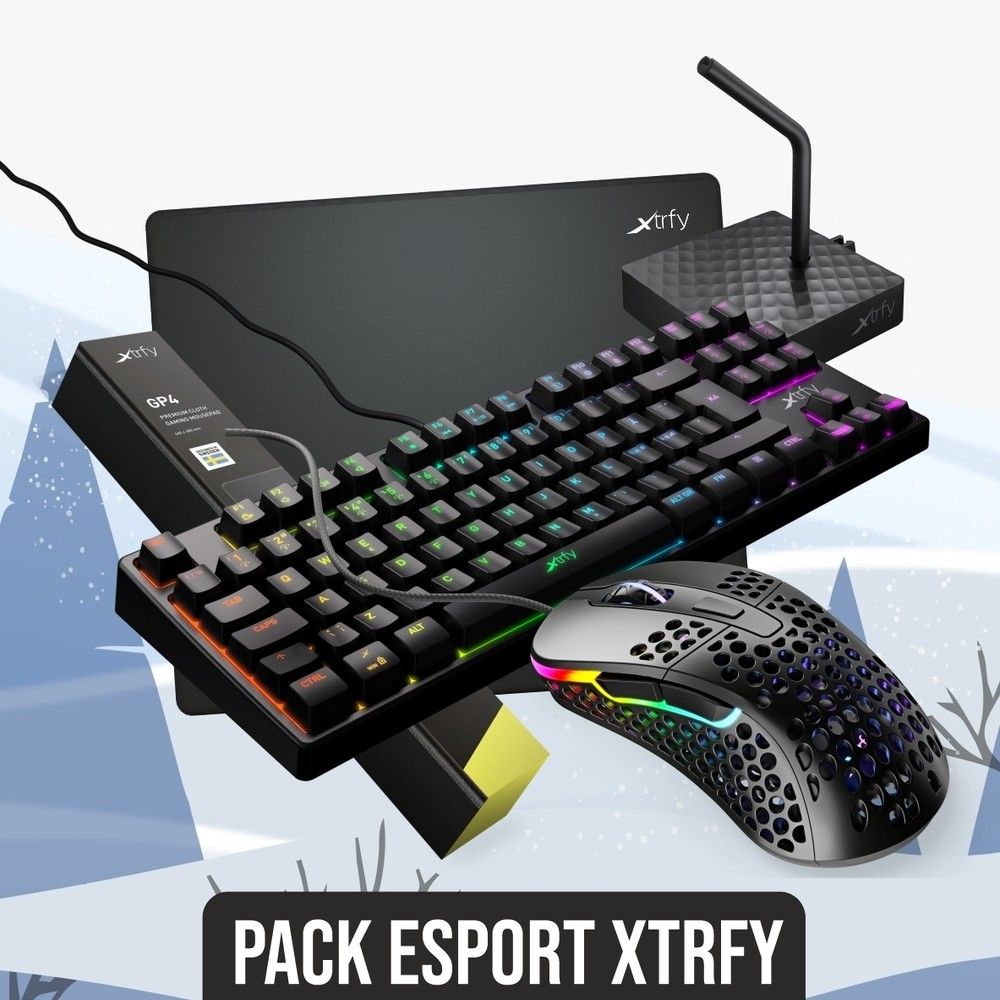Pack complet, avec clavier TKL, souris gamer et tapis